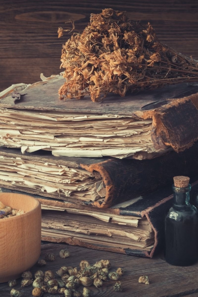 Natasha Cobbold Writes Herbalist Natasha Cobbold Writes Herbalist