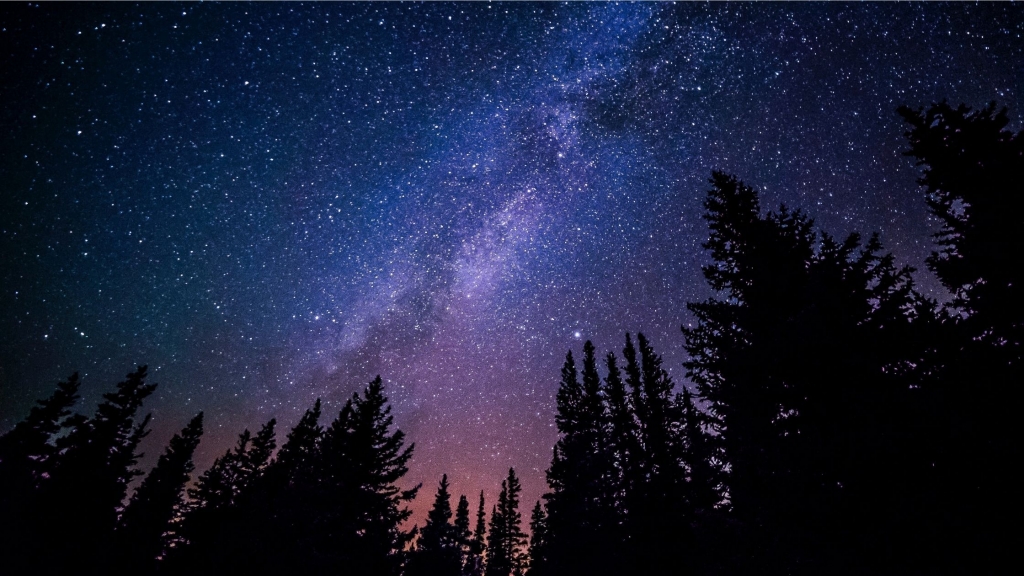 Natasha Cobbold Writes Sister Wolf night sky Natasha Cobbold Writes Sister Wolf night sky